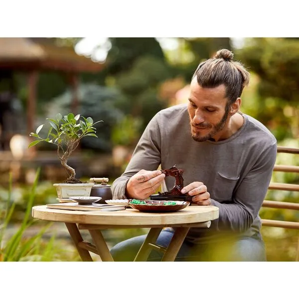 Icons 10281 Бонсай (Фото 4)