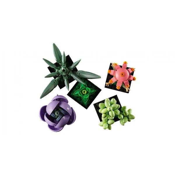 Icons 10309 Суккуленты (Фото 13)