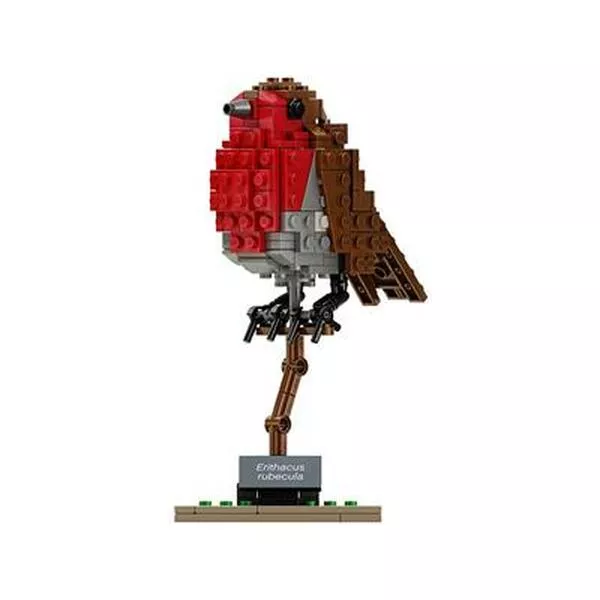 Ideas 21301 Птицы (Фото 4)