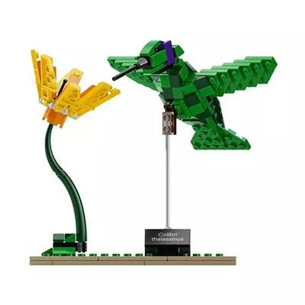 Ideas 21301 Птицы (Фото 2)