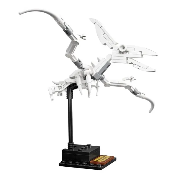 Ideas 21320 Кости динозавра (Фото 12)