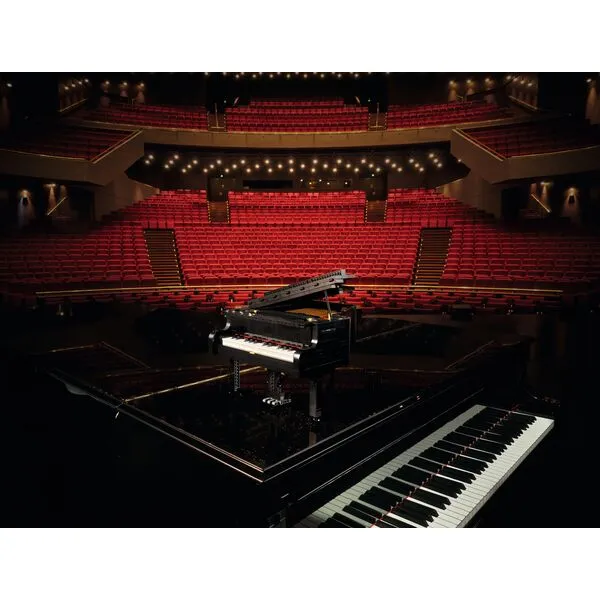 Ideas 21323 Рояль (Фото 24)