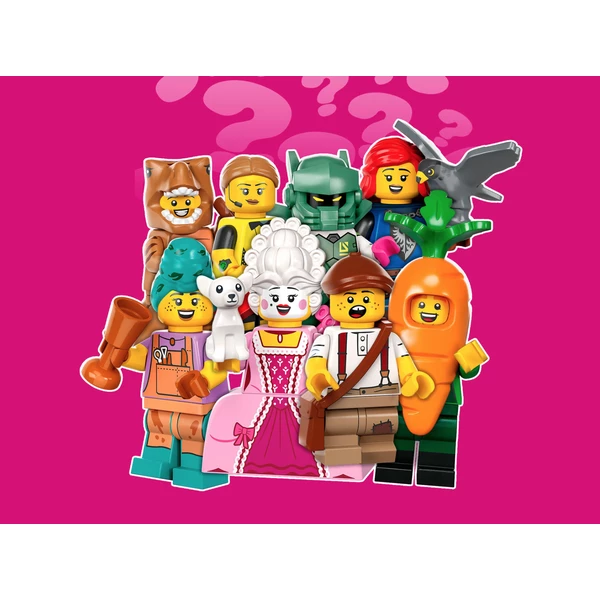 Minifigures 71037-5 Сокольничий (Фото 5)