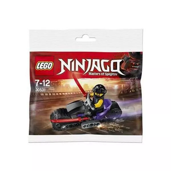 NINJAGO 30531 Sons of Garmadon