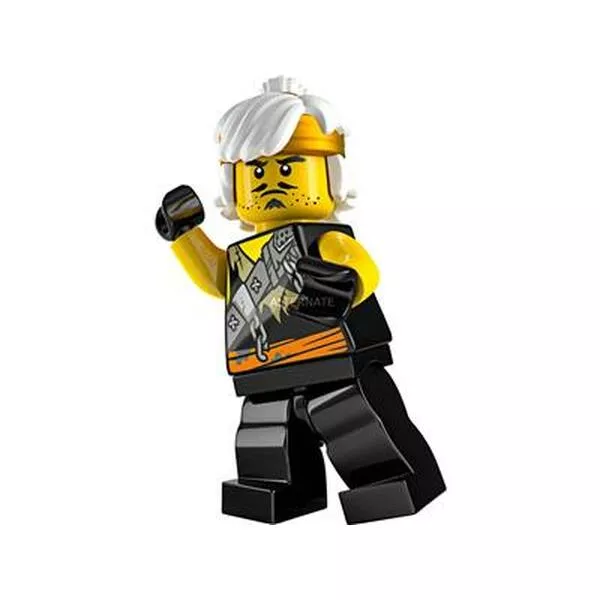 NINJAGO 891945 Young Wu