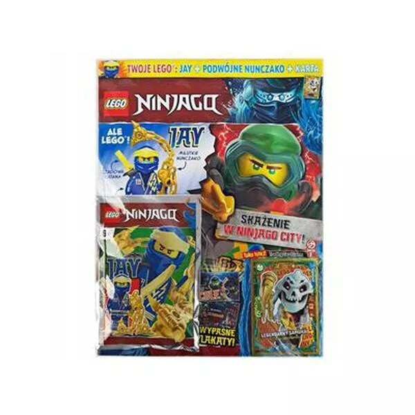 NINJAGO 892289 Jay