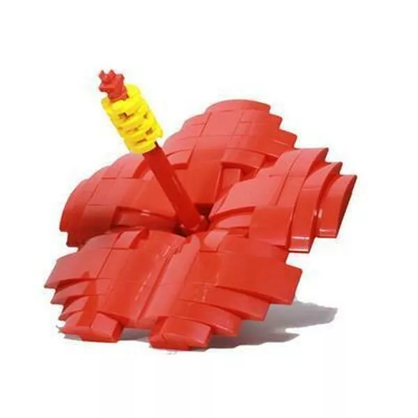 Promotional 6218706 Cities of Wonders Malaysia Bunga Raya (Фото 4)