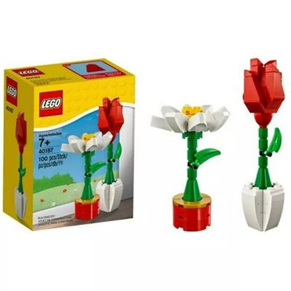 Seasonal 40187 Комнатные цветы (Фото 3)