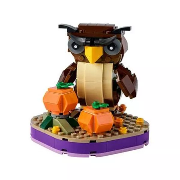 Seasonal 40497 Хэллоуинская сова (Фото 5)